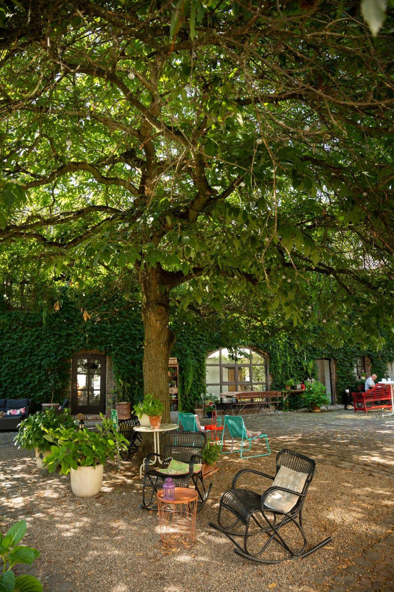 Landhaus Danielshof Bedburg Kültér fotó